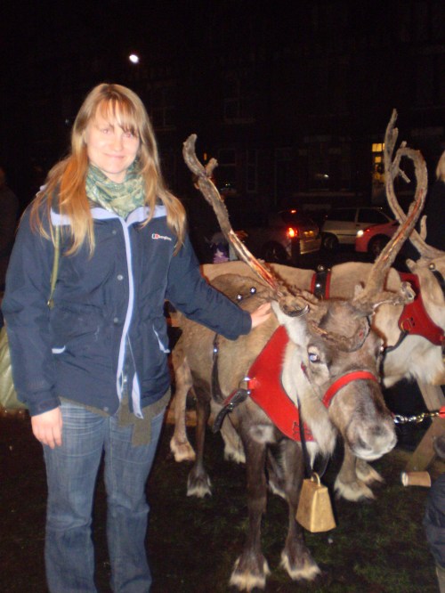 Chorlton Green reindeer