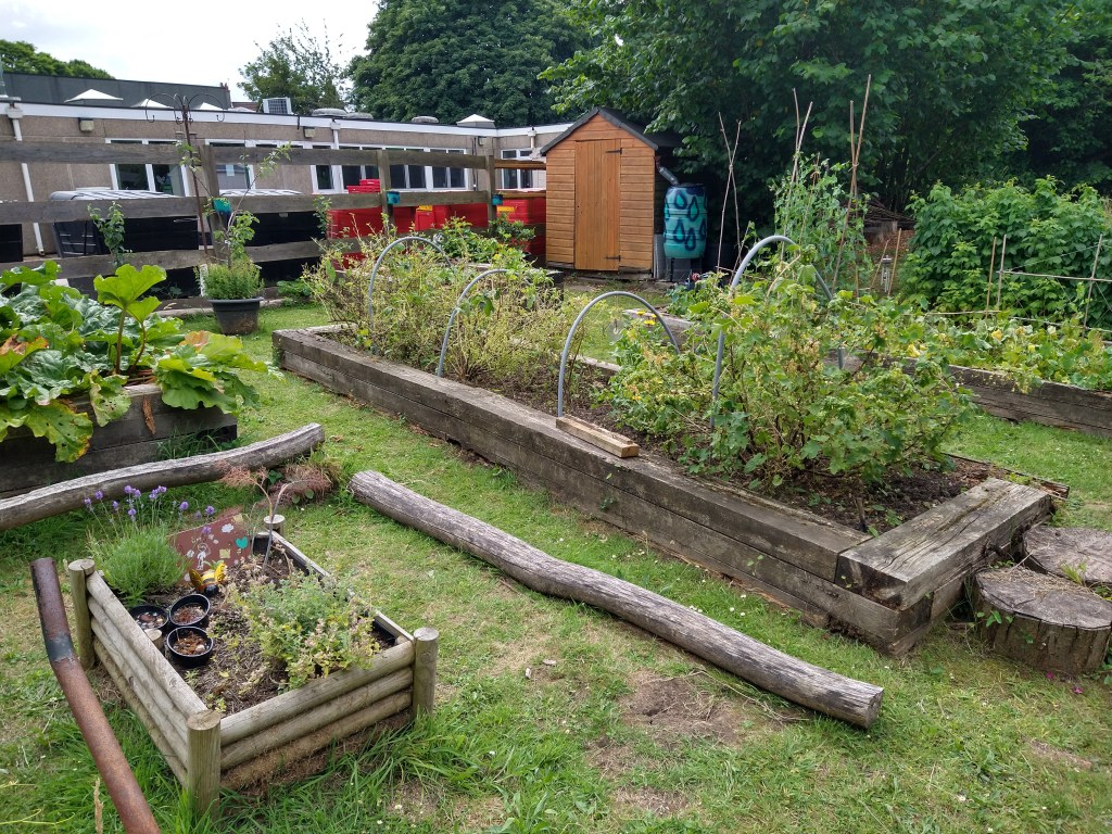 Allotment at Brookburn Primary School on Brookburn Road in Chorlton